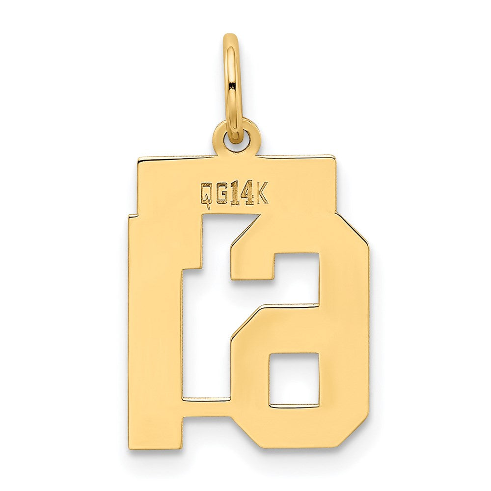 14K Gelbgold Kleiner Polierter Charm „Zahl 61