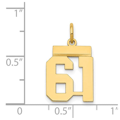 14K Gelbgold Kleiner Polierter Charm „Zahl 61