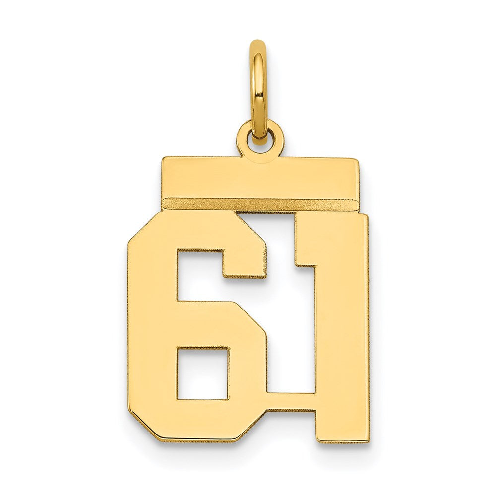 14K Gelbgold Kleiner Polierter Charm „Zahl 61