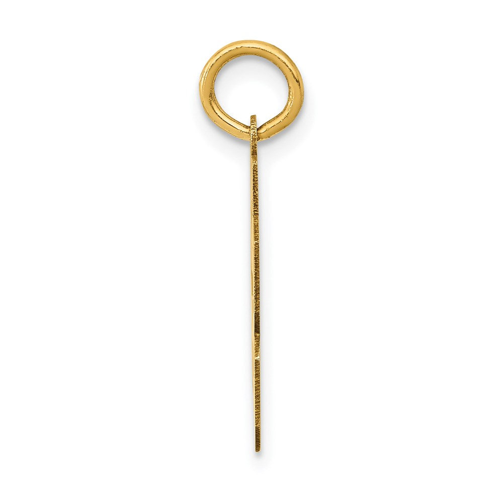 14K Gelbgold Kleiner Polierter Zahl-63-Charm