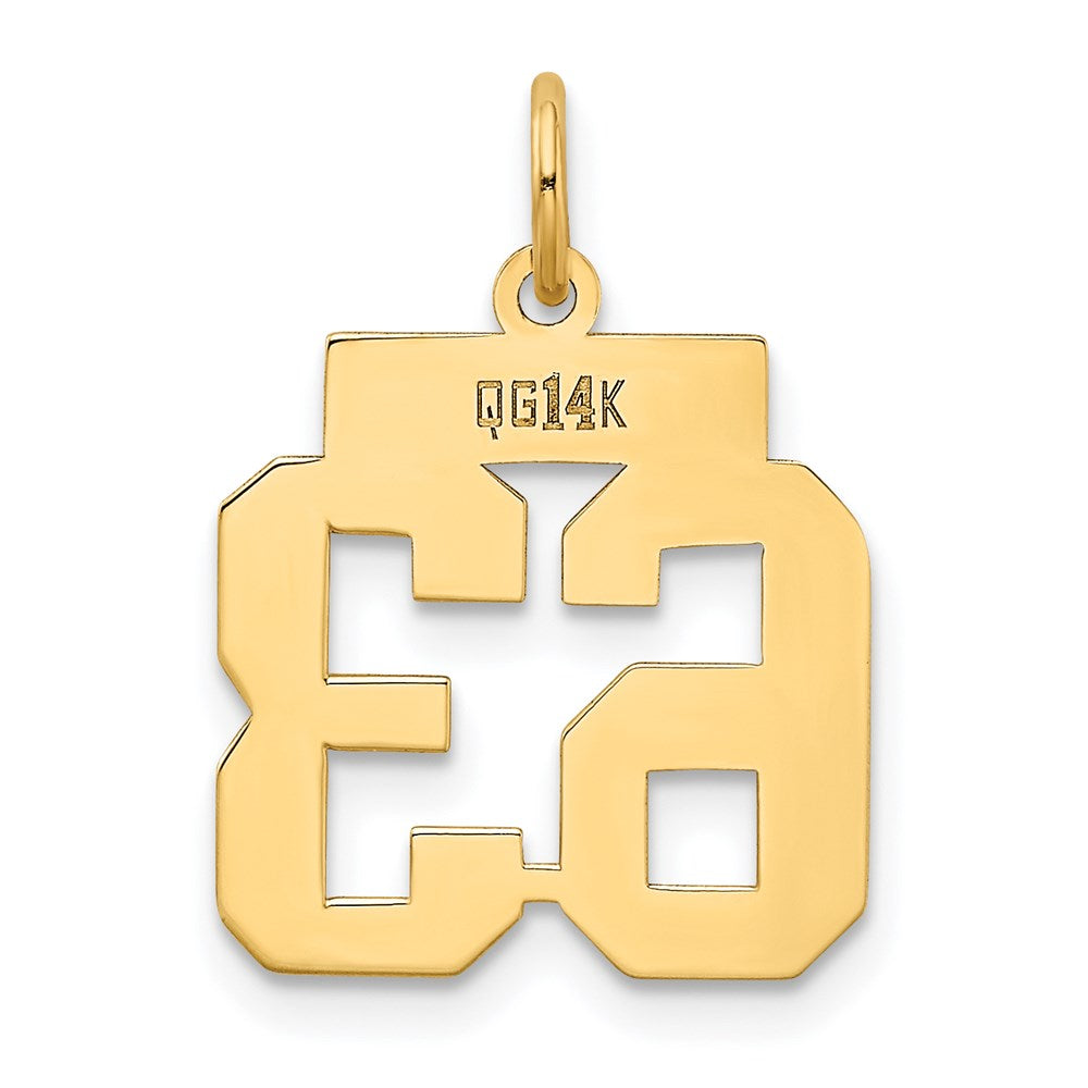 14K Gelbgold Kleiner Polierter Zahl-63-Charm