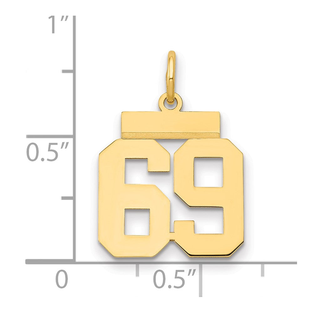 14K Gelbgold Kleiner Polierter Zahl-69-Charm
