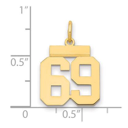 14K Gelbgold Kleiner Polierter Zahl-69-Charm