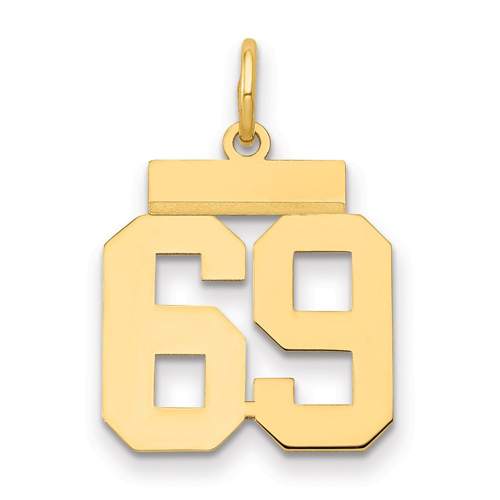 14K Gelbgold Kleiner Polierter Zahl-69-Charm