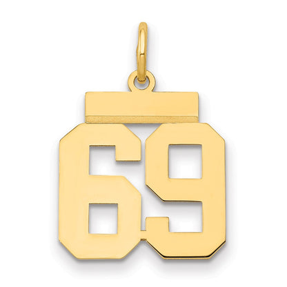 14K Gelbgold Kleiner Polierter Zahl-69-Charm