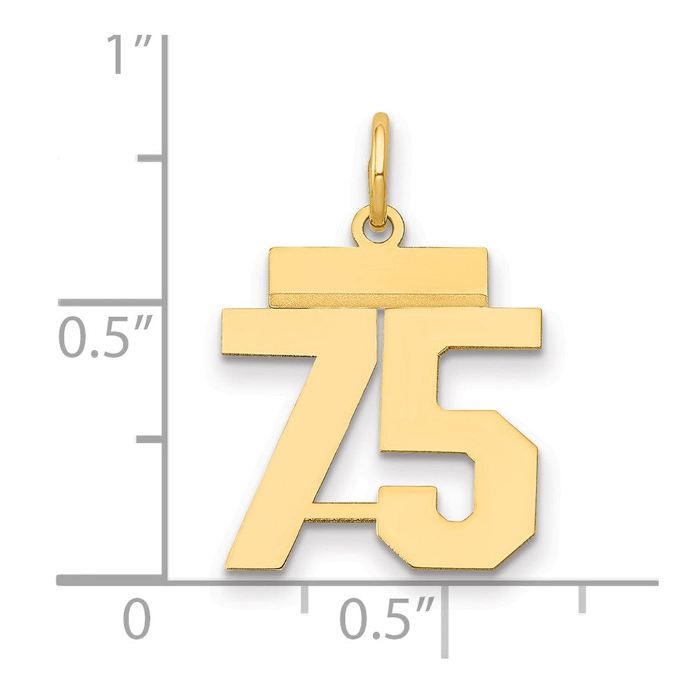 14K Gelbgold Kleiner Polierter Charm Zahl 75