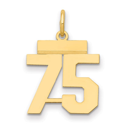 14K Gelbgold Kleiner Polierter Charm Zahl 75