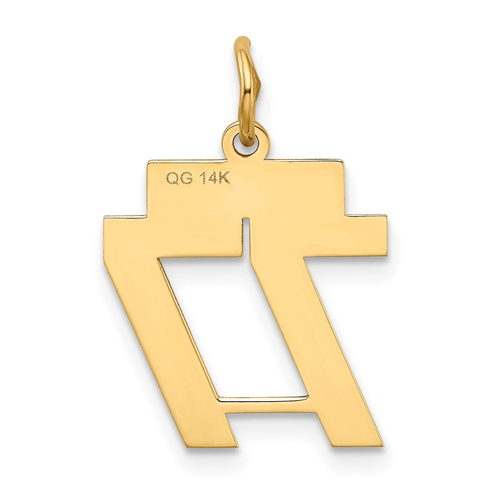 14K Gelbgold Klein Poliert Zahl 77 Charm