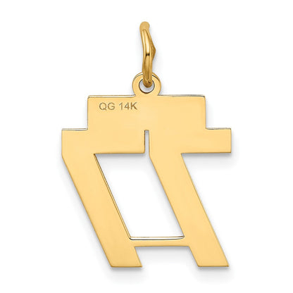 14K Gelbgold Klein Poliert Zahl 77 Charm