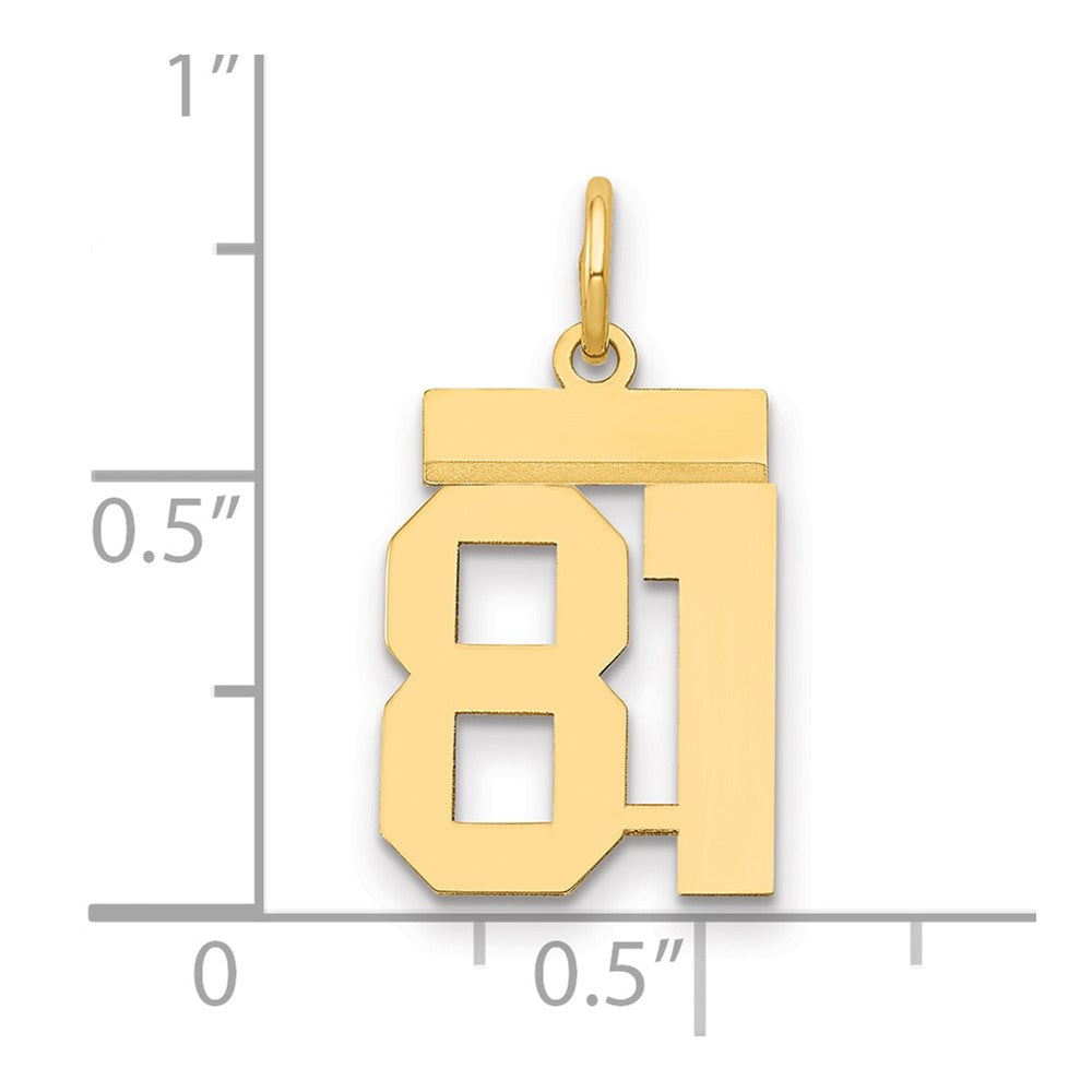 14K Gelbgold Kleiner Polierter Charm Zahl 81