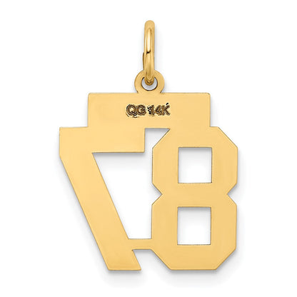 14K Gelbgold Kleiner Polierter Zahl-87-Charm