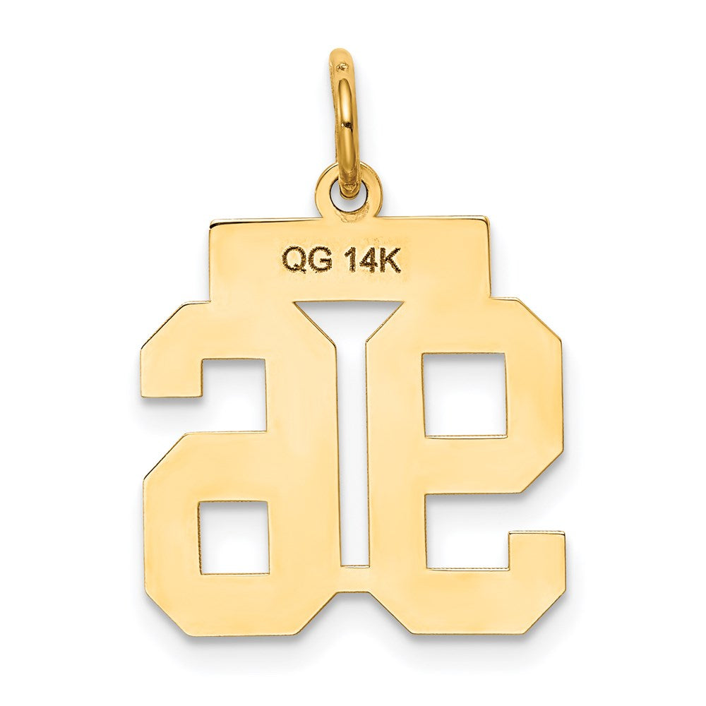 14K Gelbgold Kleiner Polierter Zahl-96-Charm