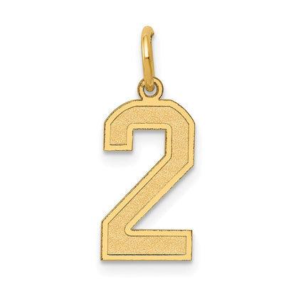 14K Gelbgold 14K Mittel Satiniert Zahl 2 Charm