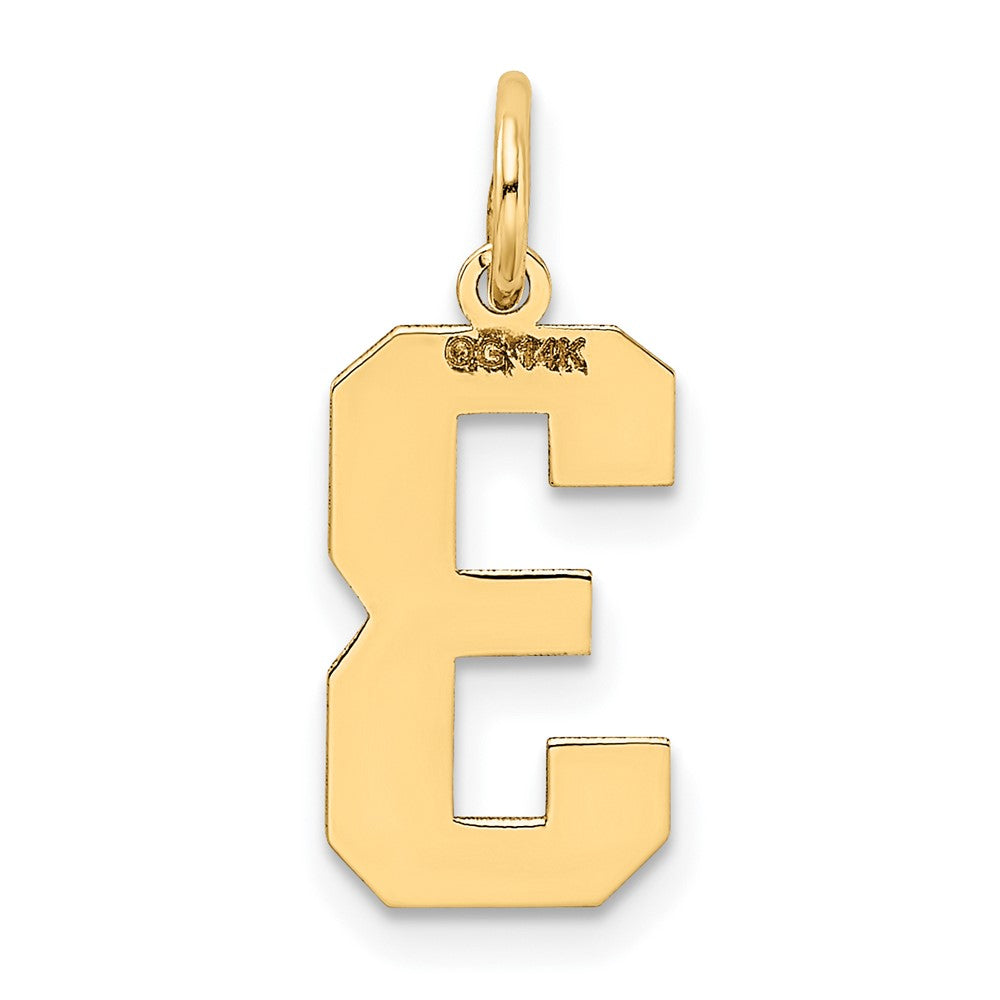14K Gelbgold 14K Mittel Satiniert Zahl 3 Charm