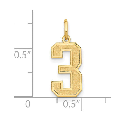 14K Gelbgold 14K Mittel Satiniert Zahl 3 Charm