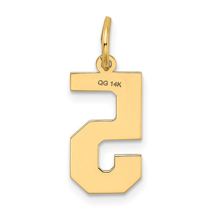 14K Gelbgold 14K Mittel Satiniert Zahl 5 Charm
