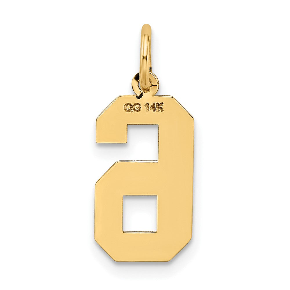 14K Gelbgold 14K Mittel Satiniert Zahl 6 Charm
