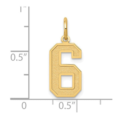14K Gelbgold 14K Mittel Satiniert Zahl 6 Charm