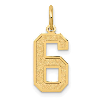 14K Gelbgold 14K Mittel Satiniert Zahl 6 Charm