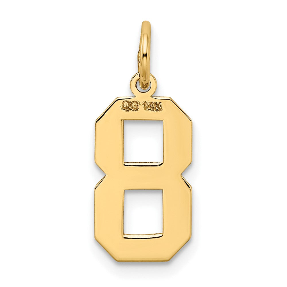 14K Gelbgold 14K Mittel Satiniert Zahl 8 Charm
