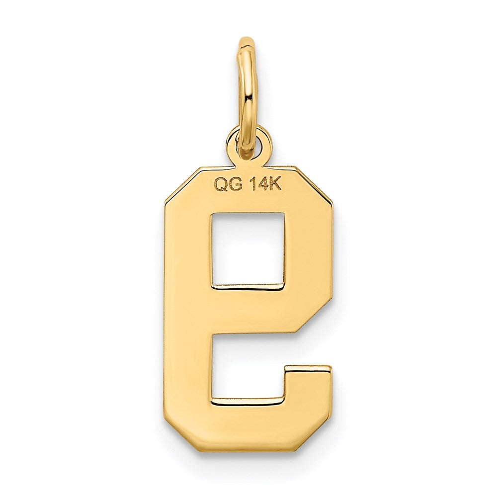 14K Gelbgold 14K Mittel Satiniert Zahl 9 Charm