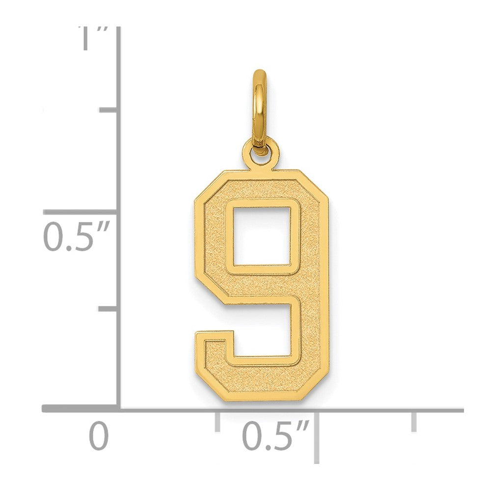 14K Gelbgold 14K Mittel Satiniert Zahl 9 Charm