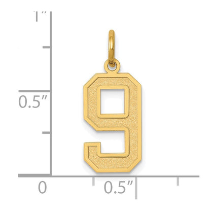14K Gelbgold 14K Mittel Satiniert Zahl 9 Charm