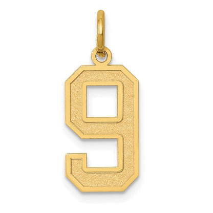 14K Gelbgold 14K Mittel Satiniert Zahl 9 Charm