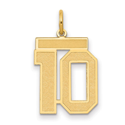 14K Gelbgold 14K Mittel Satiniert Zahl 10 Charm