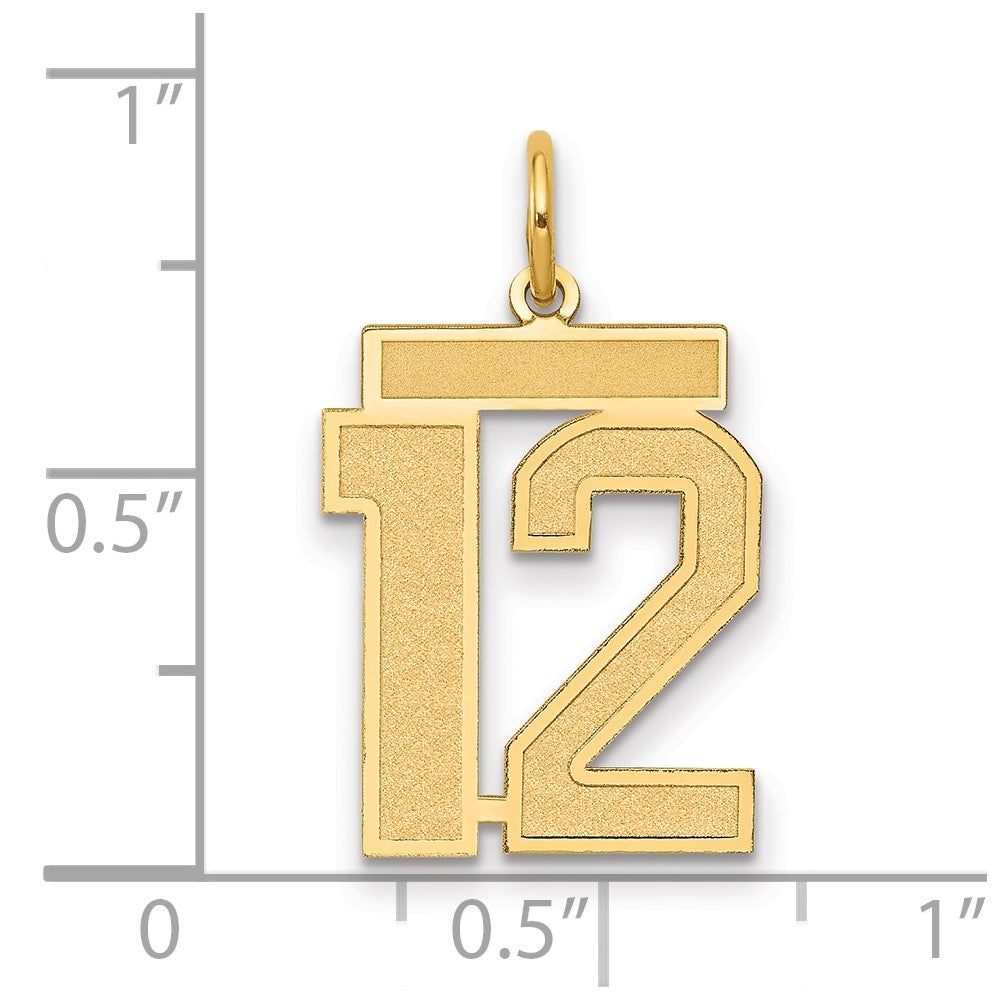 14K Gelbgold 14K Mittel Satiniert Zahl 12 Charm