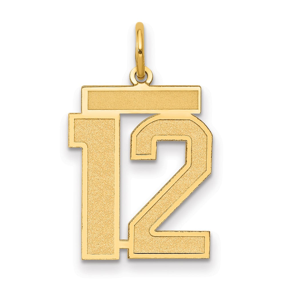 14K Gelbgold 14K Mittel Satiniert Zahl 12 Charm