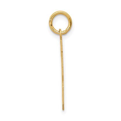 14K Gelbgold 14K Mittel Satiniert Zahl 13 Charm