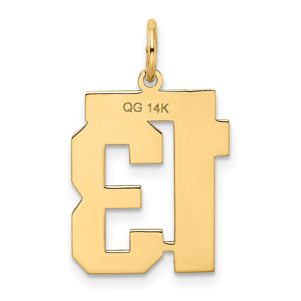 14K Gelbgold 14K Mittel Satiniert Zahl 13 Charm