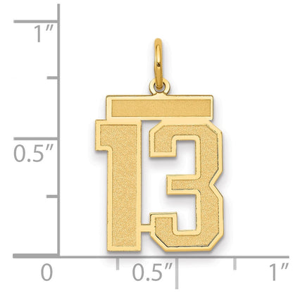 14K Gelbgold 14K Mittel Satiniert Zahl 13 Charm
