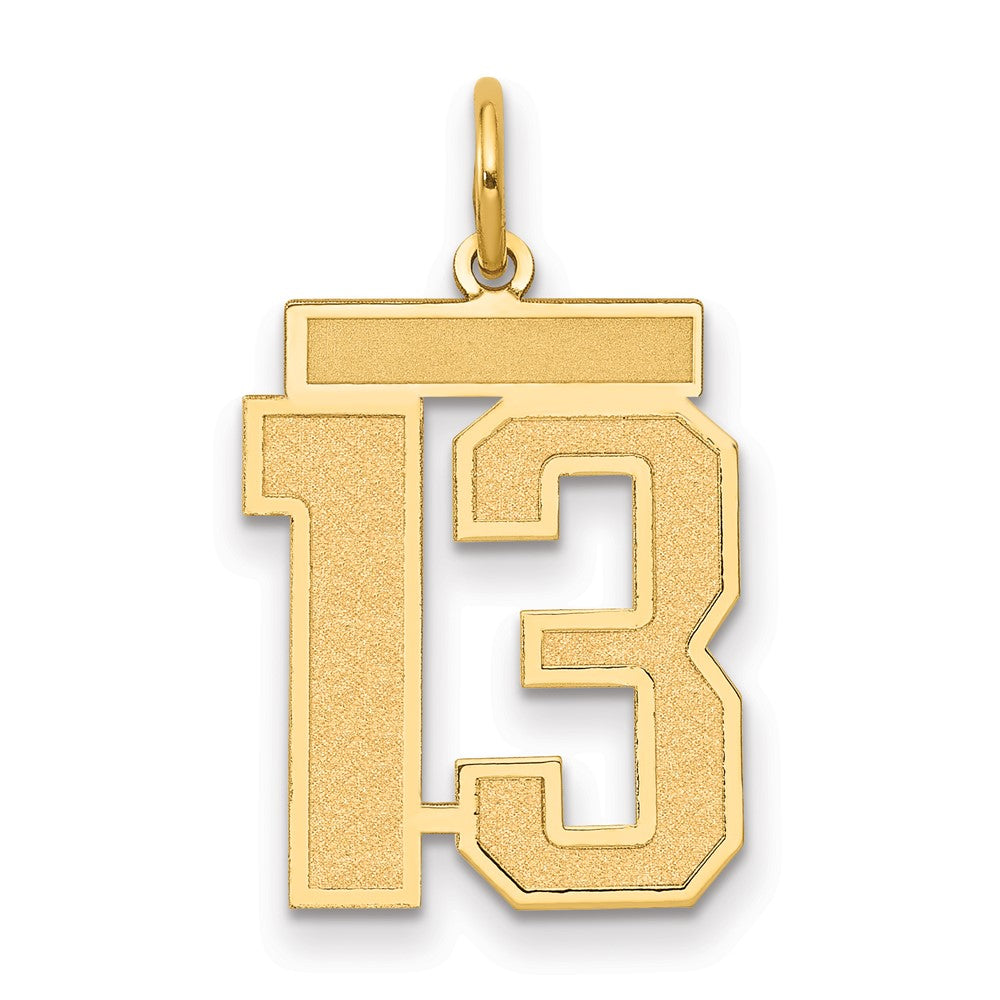 14K Gelbgold 14K Mittel Satiniert Zahl 13 Charm