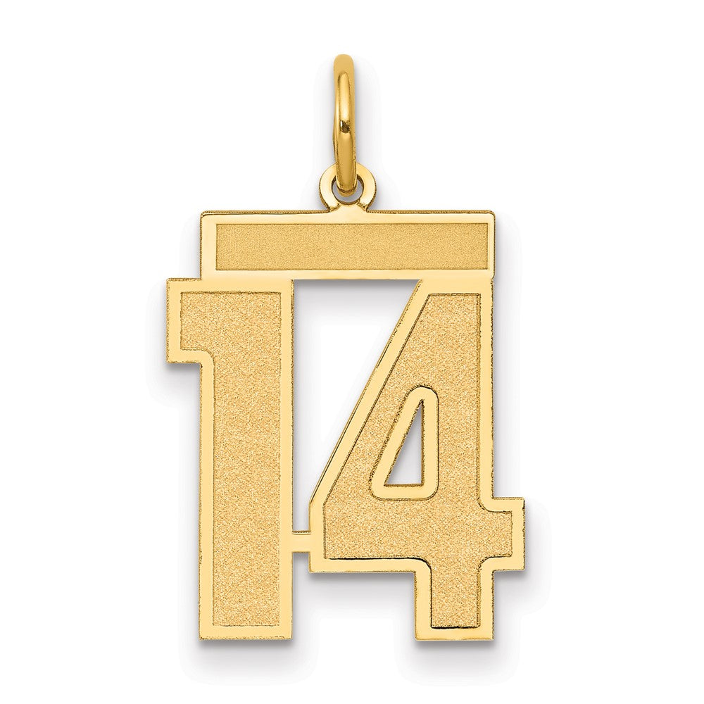 14K Gelbgold Mittel Satiniert Zahl 14 Charm