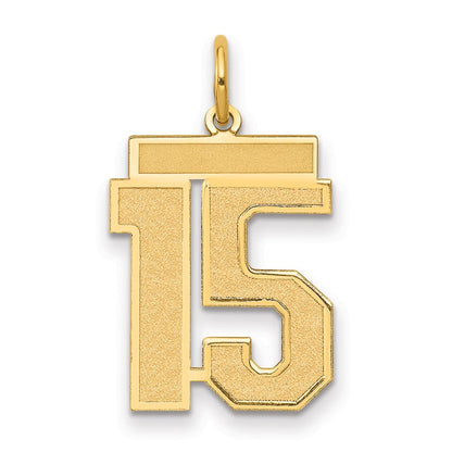 14K Gelbgold 14K Mittel Satiniert Zahl 15 Charm