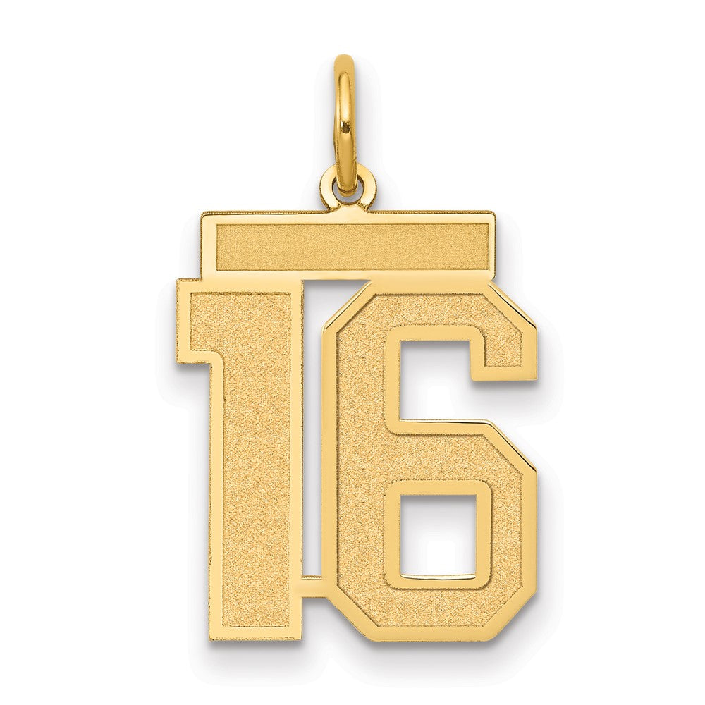14K Gelbgold 14K Mittel Satiniert Zahl 16 Charm
