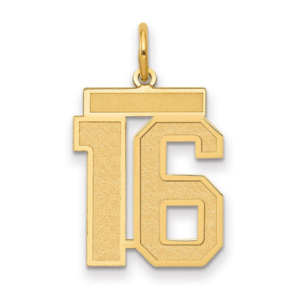 14K Gelbgold 14K Mittel Satiniert Zahl 16 Charm