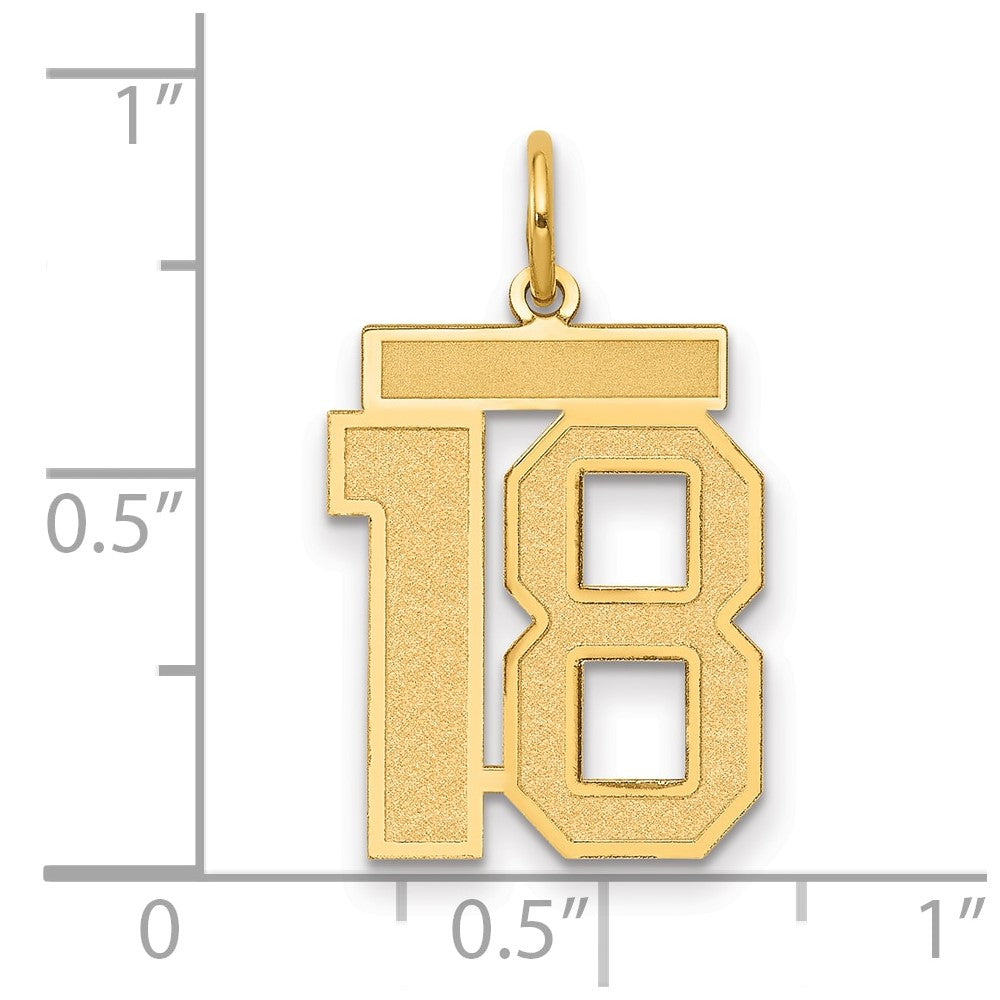 14K Gelbgold 14K Mittel Satiniert Zahl 18 Charm