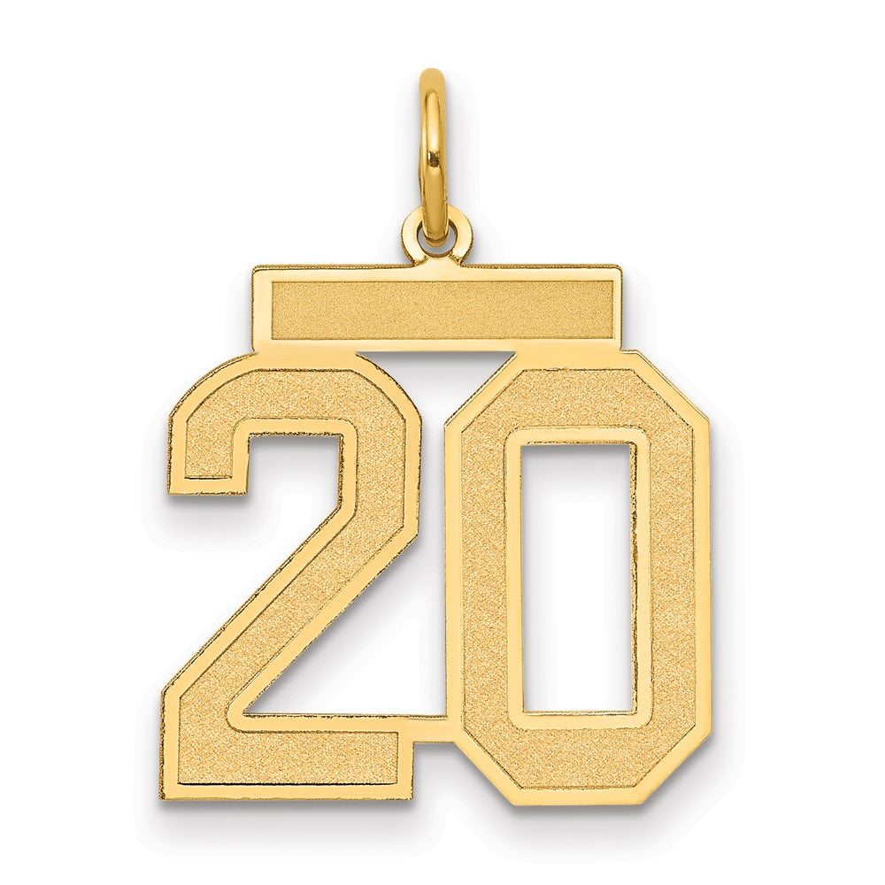14K Gelbgold 14K Mittel Satiniert Zahl 20 Charm