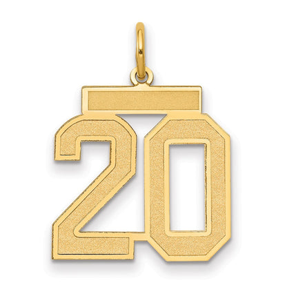 14K Gelbgold 14K Mittel Satiniert Zahl 20 Charm