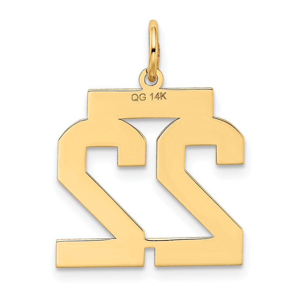 14K Gelbgold 14K Mittel Satiniert Zahl 22 Charm
