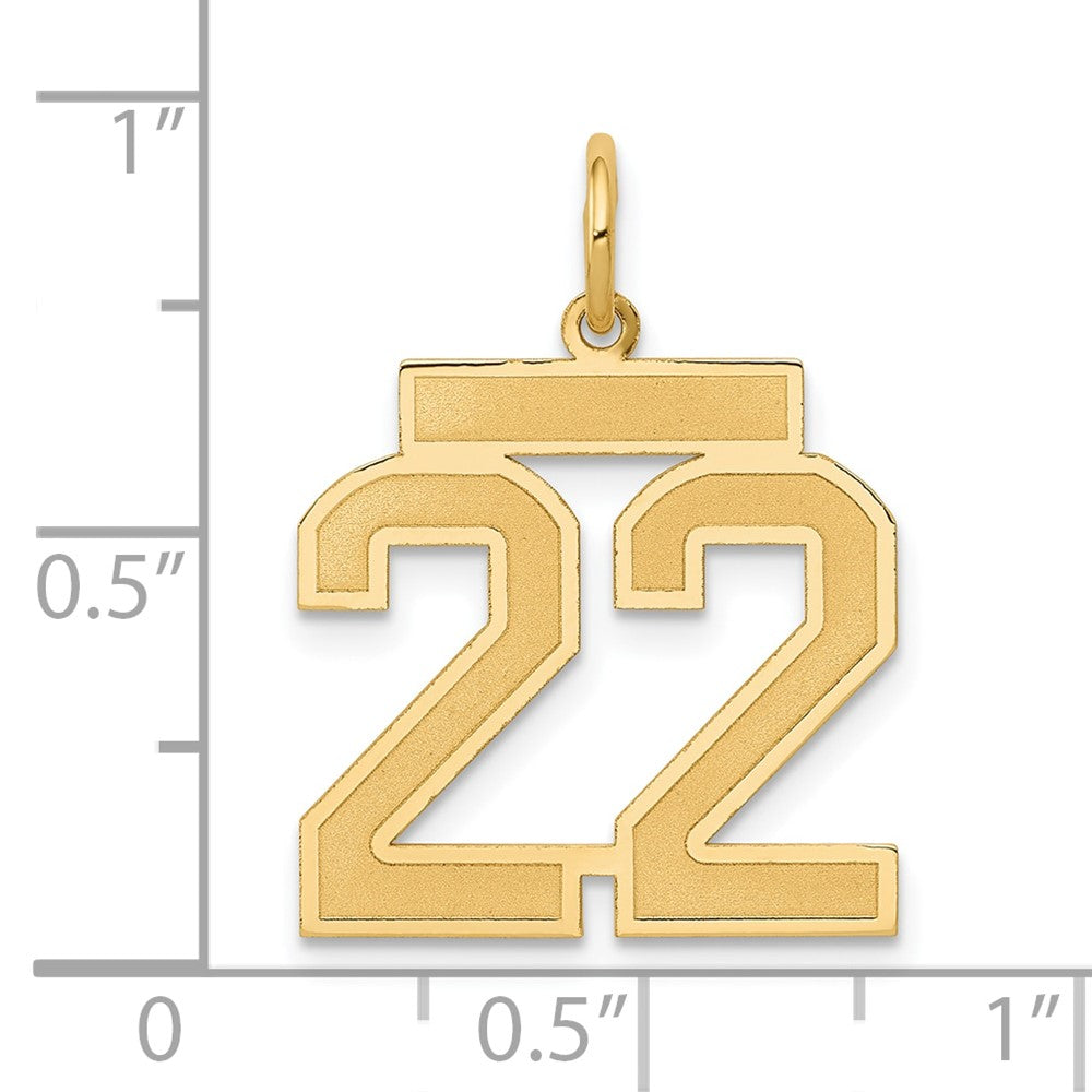14K Gelbgold 14K Mittel Satiniert Zahl 22 Charm