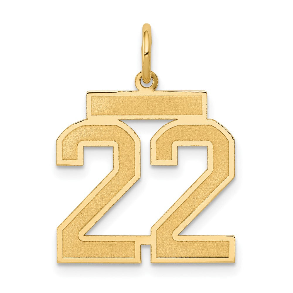14K Gelbgold 14K Mittel Satiniert Zahl 22 Charm