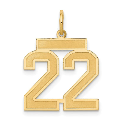 14K Gelbgold 14K Mittel Satiniert Zahl 22 Charm