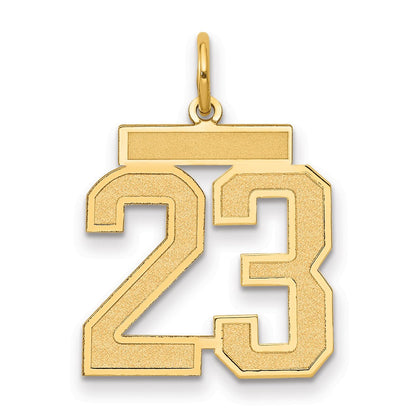 14K Gelbgold 14K Mittel Satiniert Zahl 23 Charm