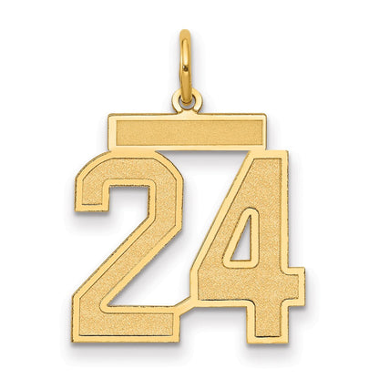 14K Gelbgold 14K Mittel Satiniert Zahl 24 Charm