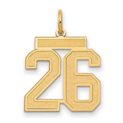 14K Gelbgold 14K Mittel Satiniert Zahl 26 Charm