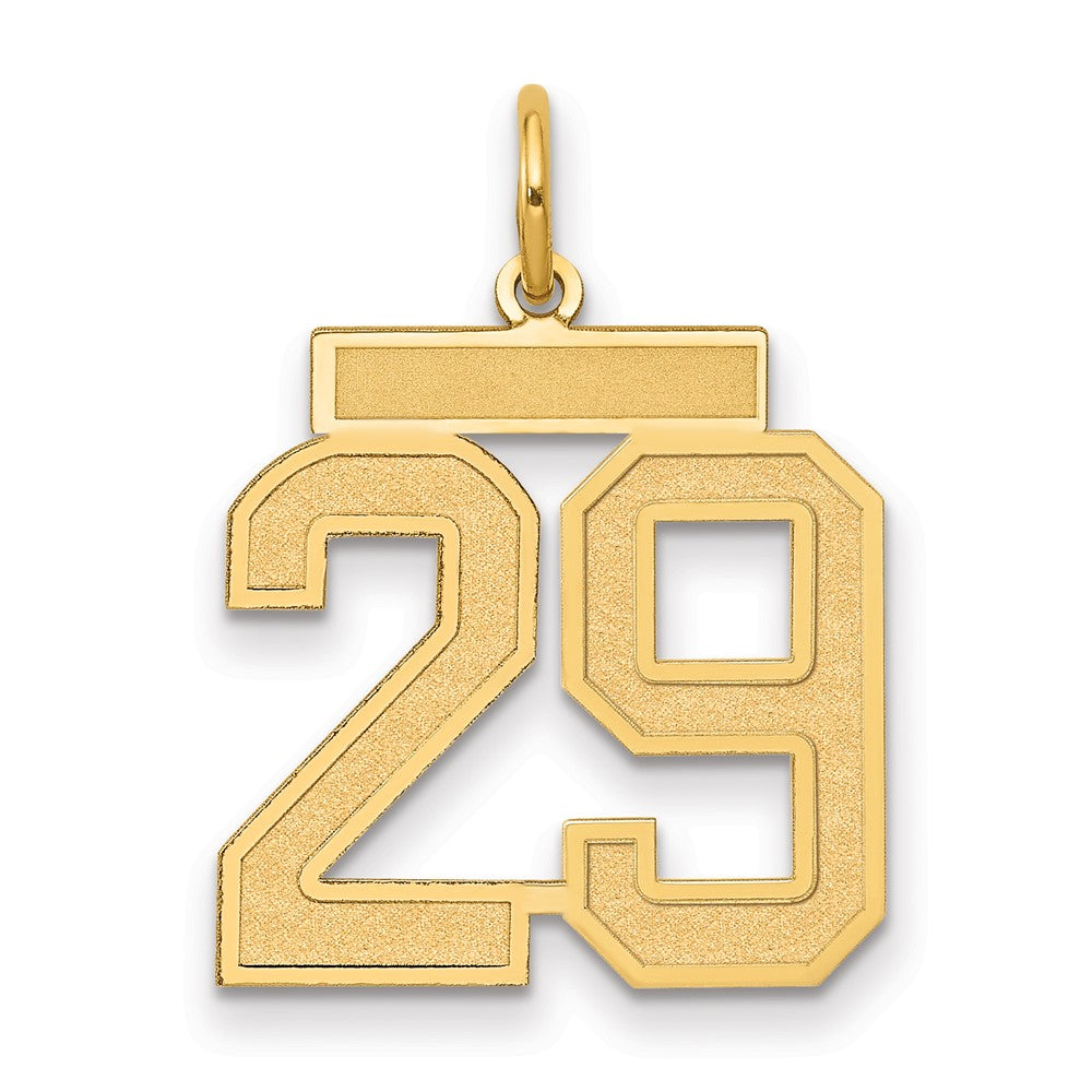 14K Gelbgold Mittel Satiniert Zahl 29 Charm